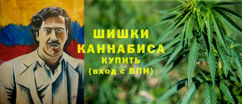 Каннабис OG Kush  Собинка 